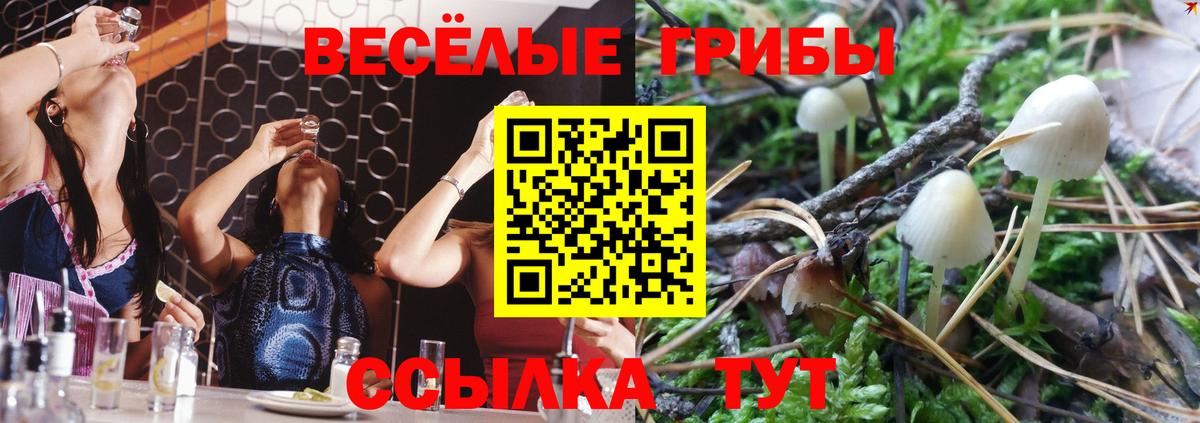 Псилоцибиновые грибы Psilocybine cubensis  Вход с VPN  Галлюциногенные грибы ЛСД  Люберцы 